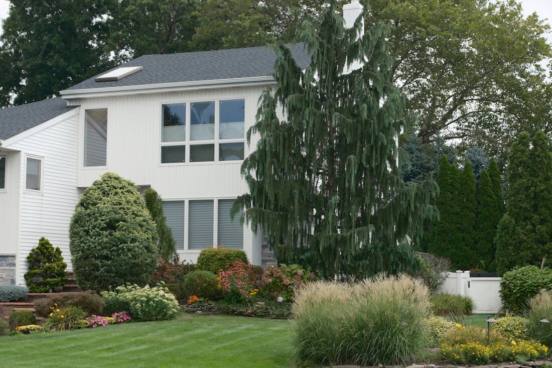 Full-Property Landscaping project