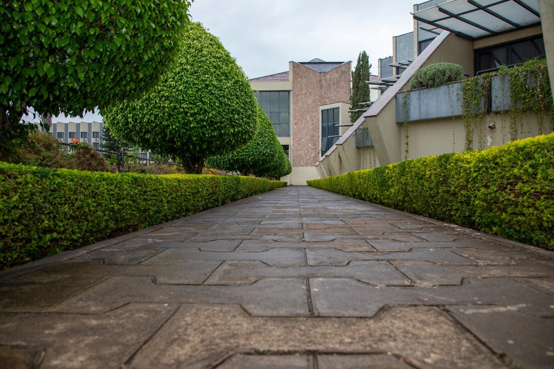 Hedge Detailing project