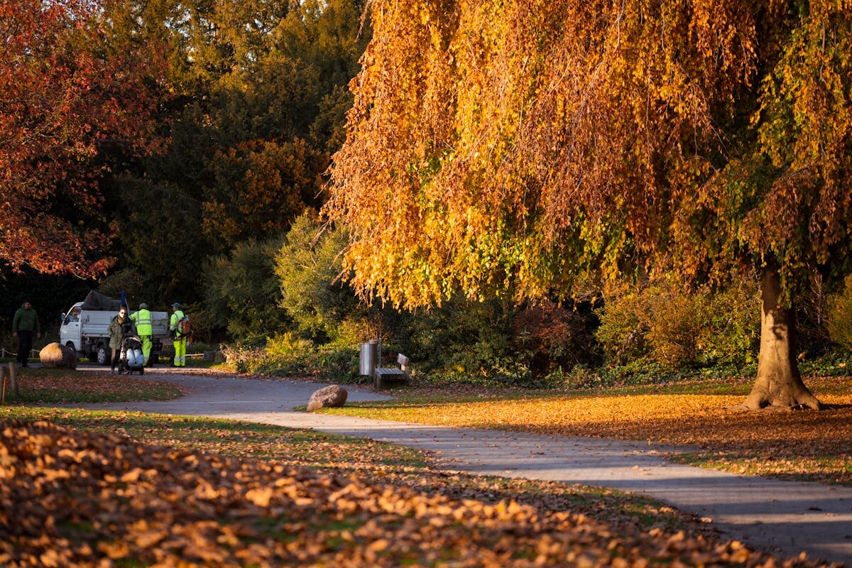 Seasonal Cleanups in Madison, WI