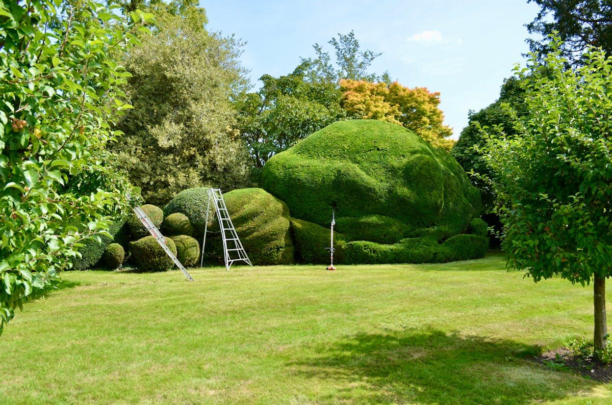 Hedges & Property Detailing in Madison, WI
