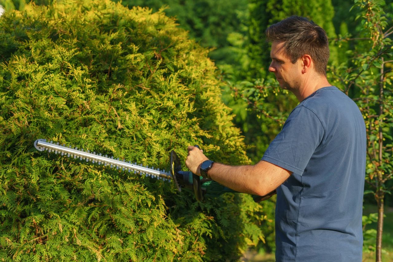 Hedges & Property Detailing service in Madison, WI