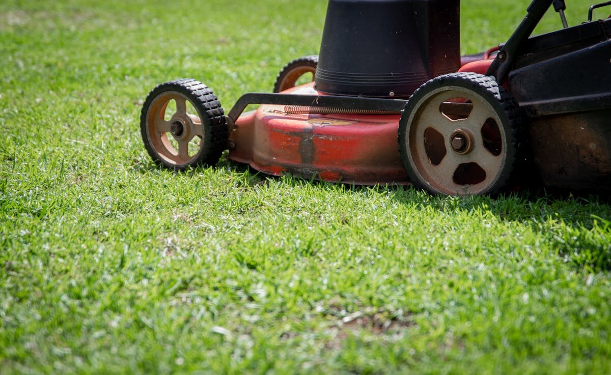 Lawn Care & Mowing in Madison, WI
