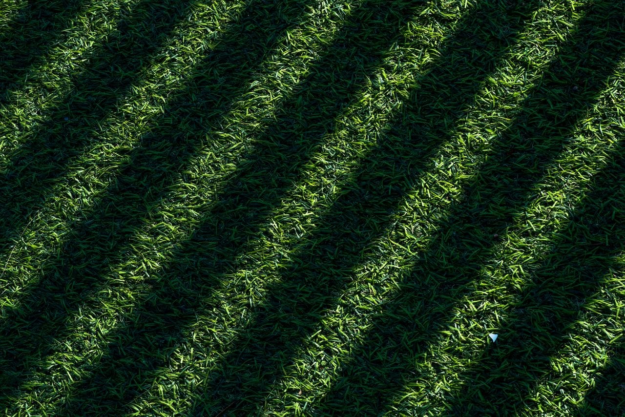 Lawn Care & Mowing service in Madison, WI