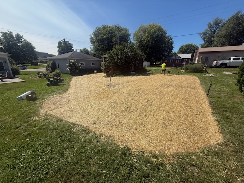 Newly seeded lawn under straw with temporary sprinkler stakes set across it, Snow Mow and More job