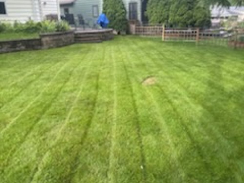 Freshly mowed lawn with clean mowing stripes, Madison WI
