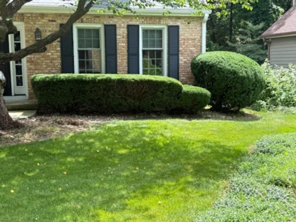 Cleanly shaped hedges and tidy beds at a brick home