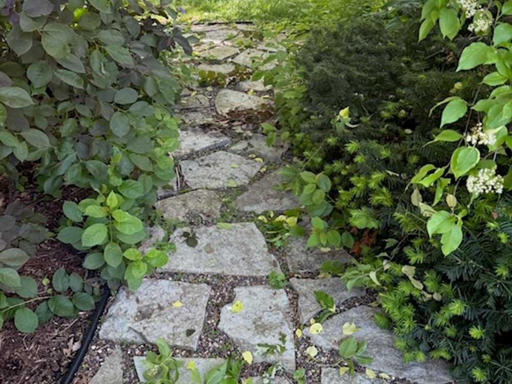 Natural stone walkway winding through a landscaped garden